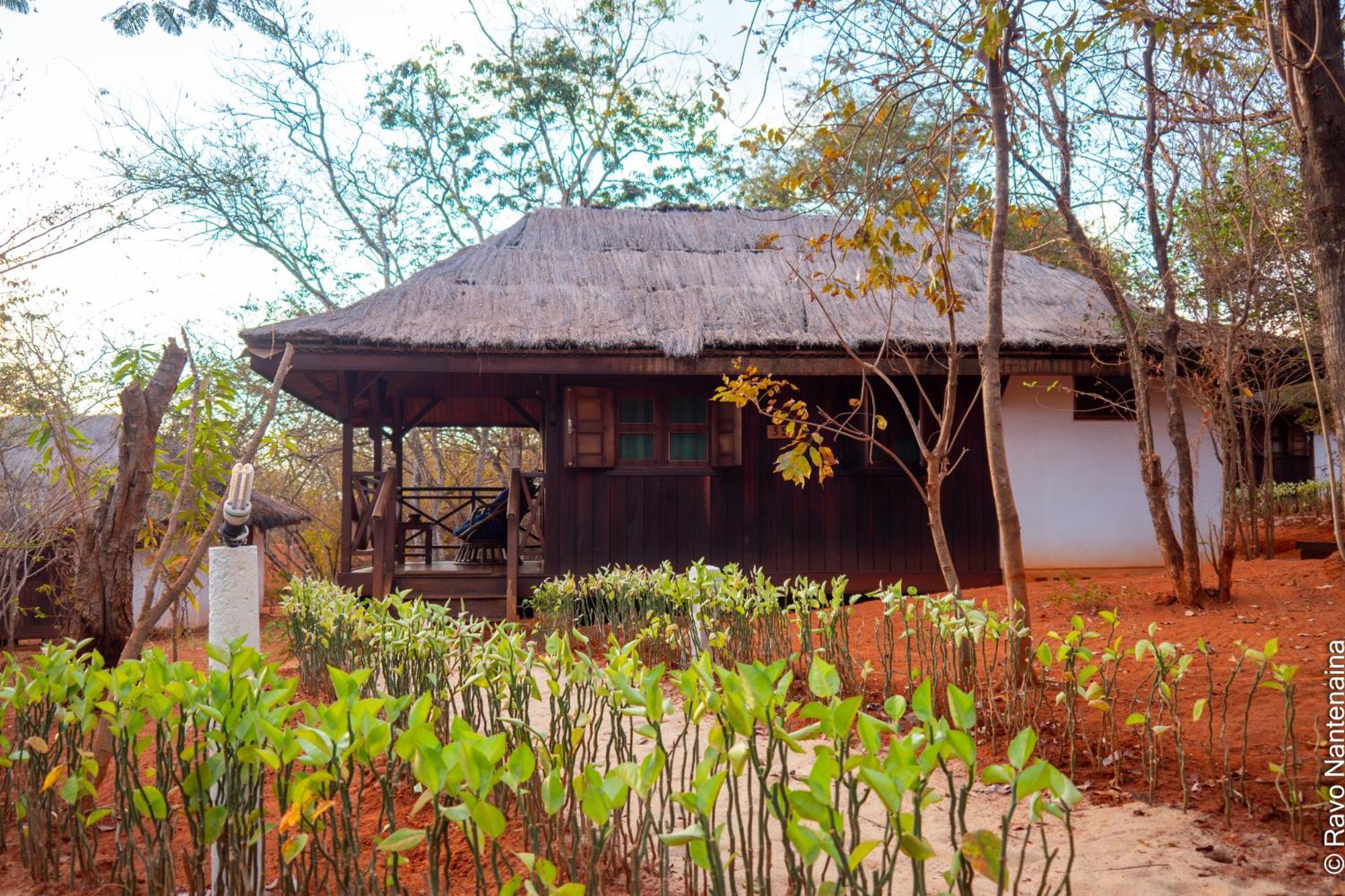 Olympe De Bemaraha Bekopaka Exterior foto